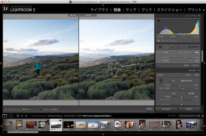 スポット修正ブラシ