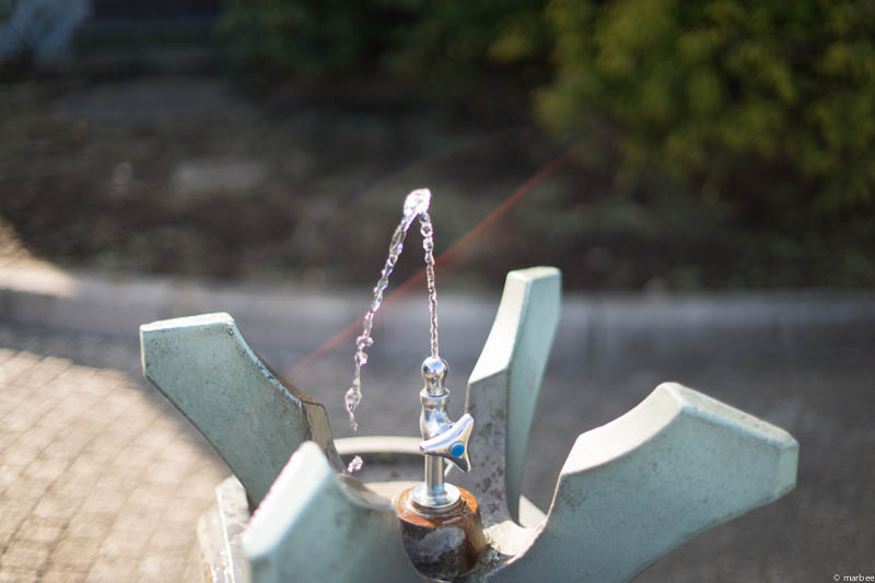 港の見える丘公園の水道（パープルフリンジ修正前）