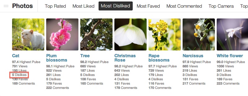 500px_dislike数の確認