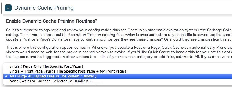 「Dynamic Cache Pruning Option」をALLに変更
