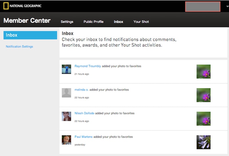 ナショジオ「Your Shot」inbox
