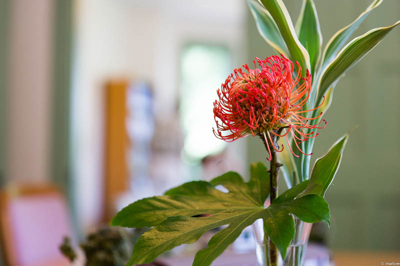ブラフ18番館花瓶