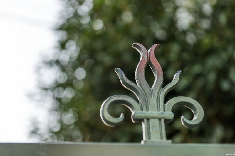 カトリック教会