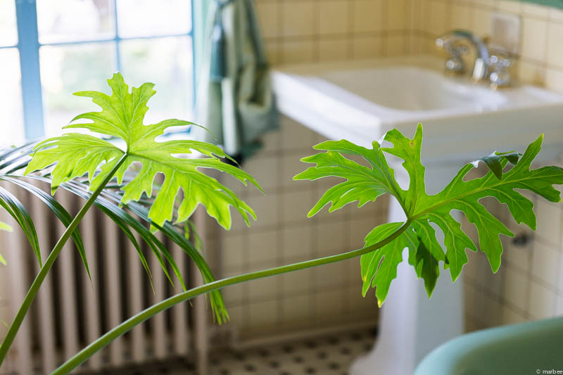 ベーリックホール 洗面所