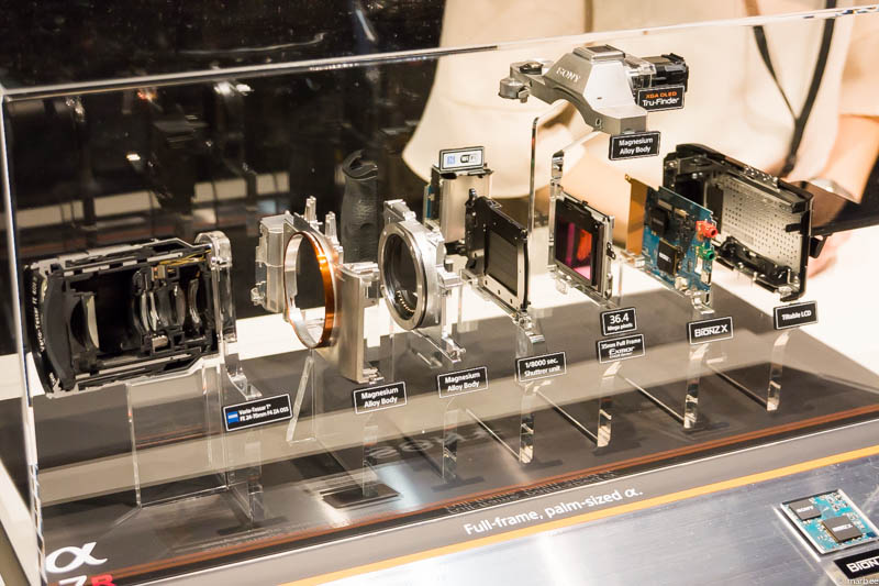 α7 カットモデル