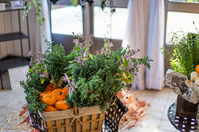 イギリス館 ハロウィーン仕様