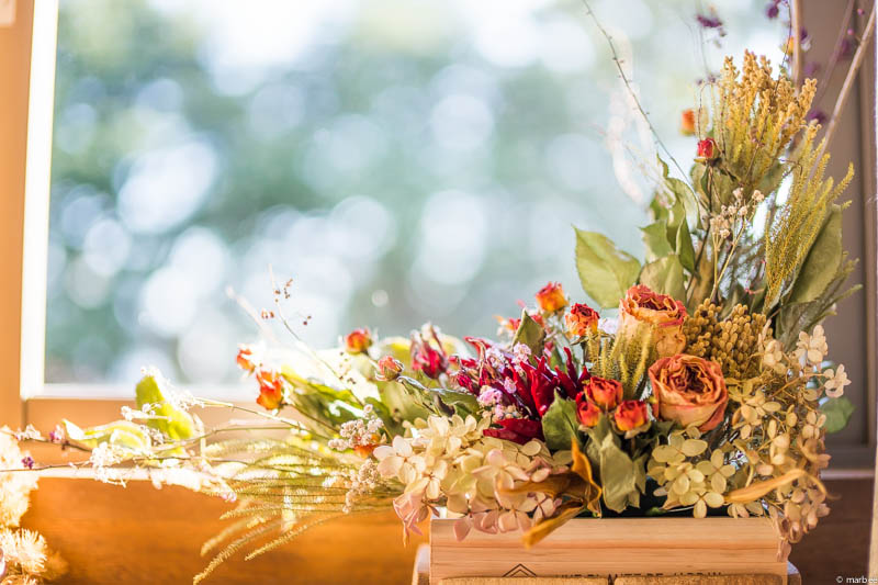 イギリス館 ハロウィーン仕様の窓