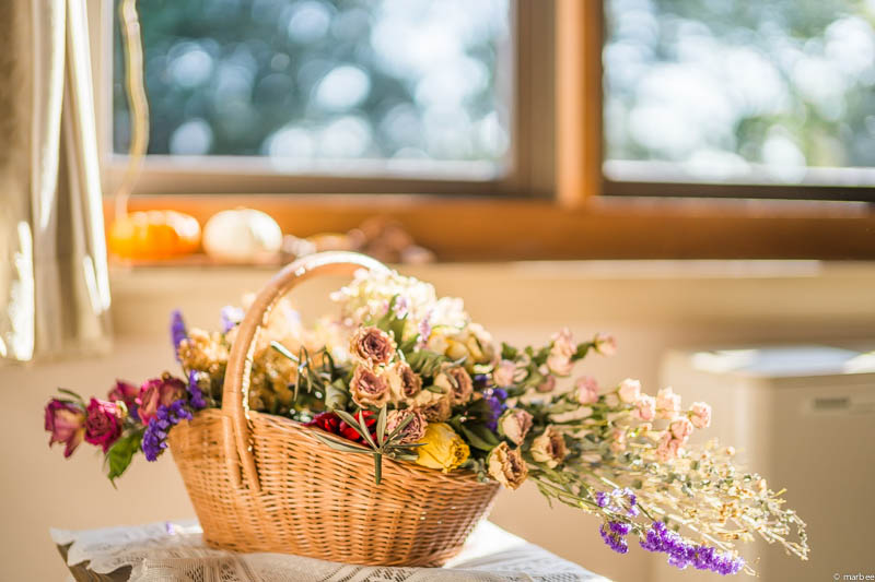 イギリス館 ハロウィーン仕様の窓