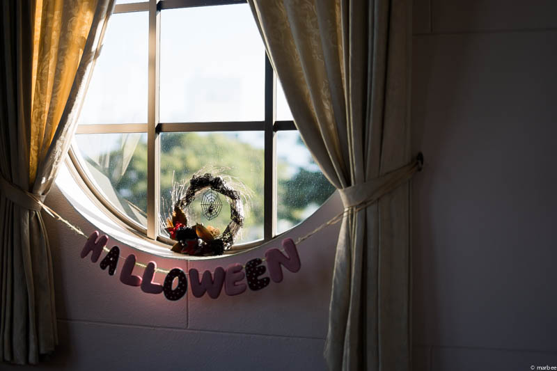 イギリス館 ハロウィーン仕様の窓