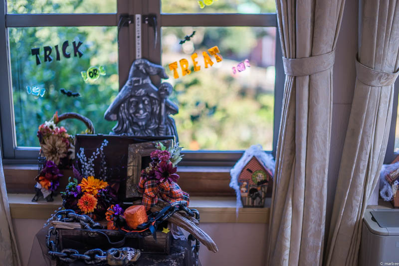 イギリス館 ハロウィーン仕様の窓