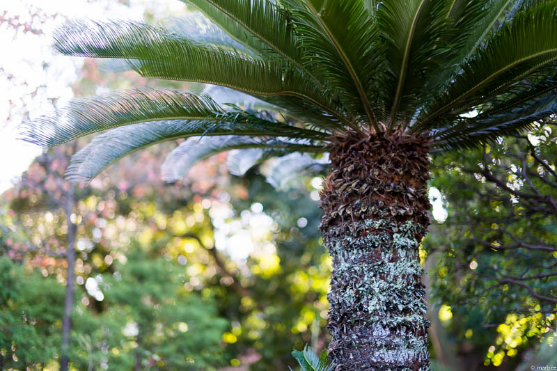 イギリス館 出口