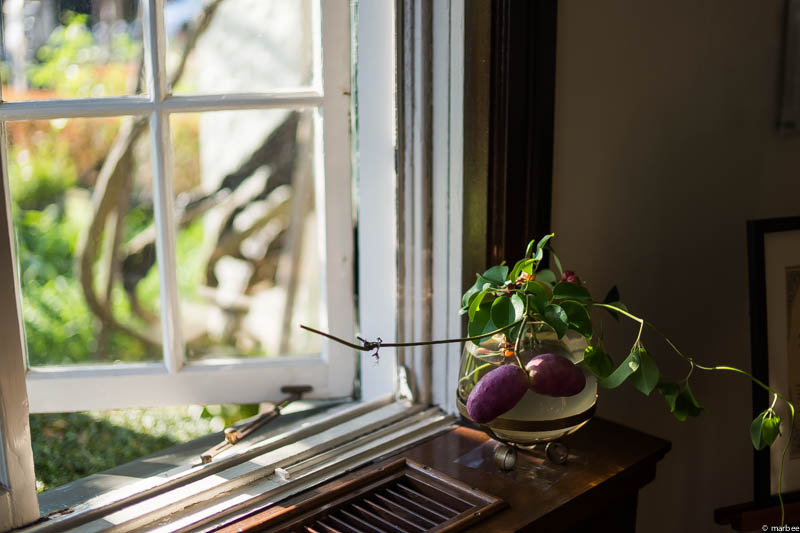 山手111番館 ハロウィーン仕様窓