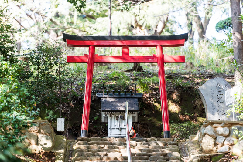 近所の公園の鳥居