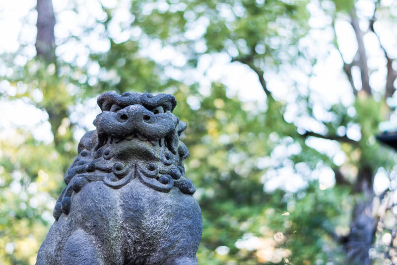 根津神社 狛犬
