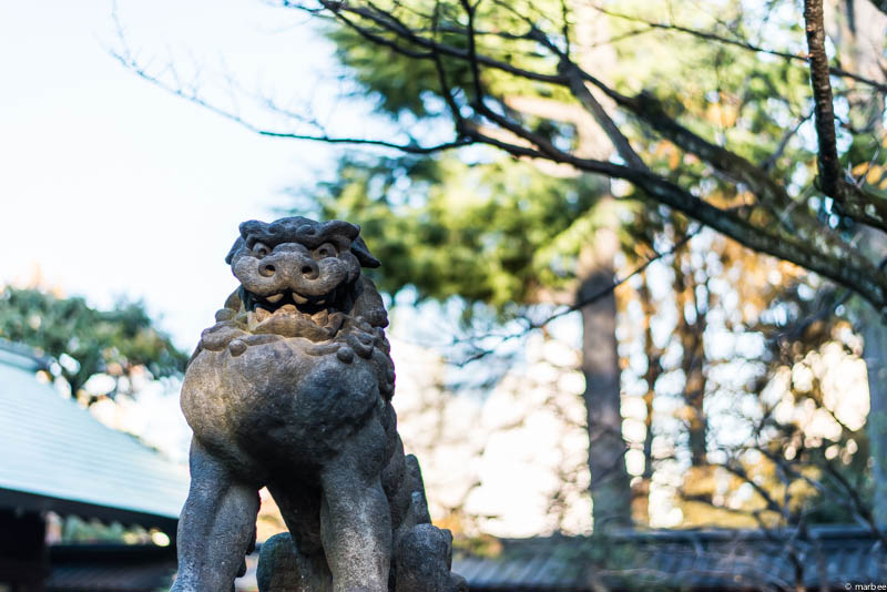 根津神社 狛犬