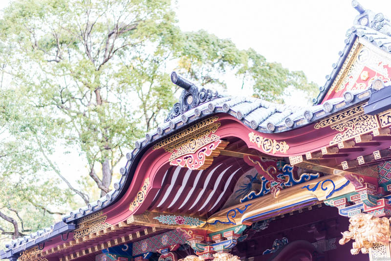 根津神社 屋根