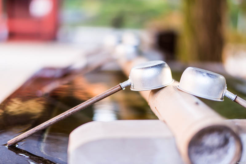 根津神社 清め水