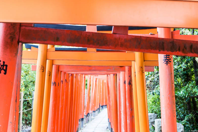 根津神社 鳥居