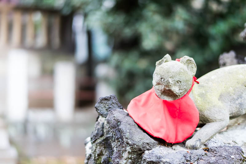根津神社 狐