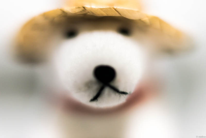 接写リング 36mm