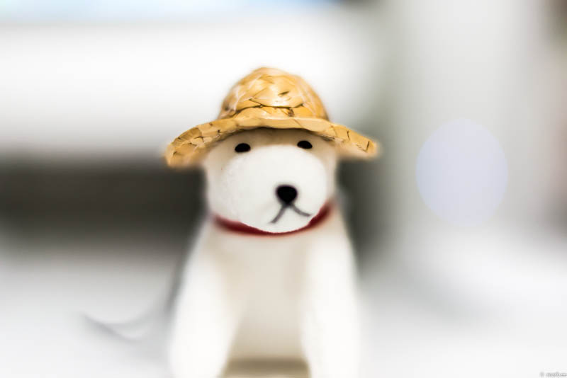 接写リング 12mm