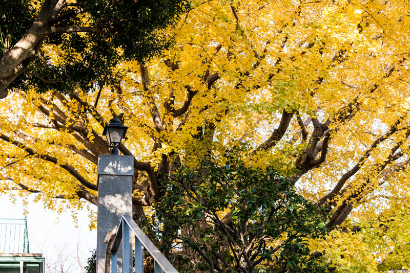 ブラフ18番館 入り口