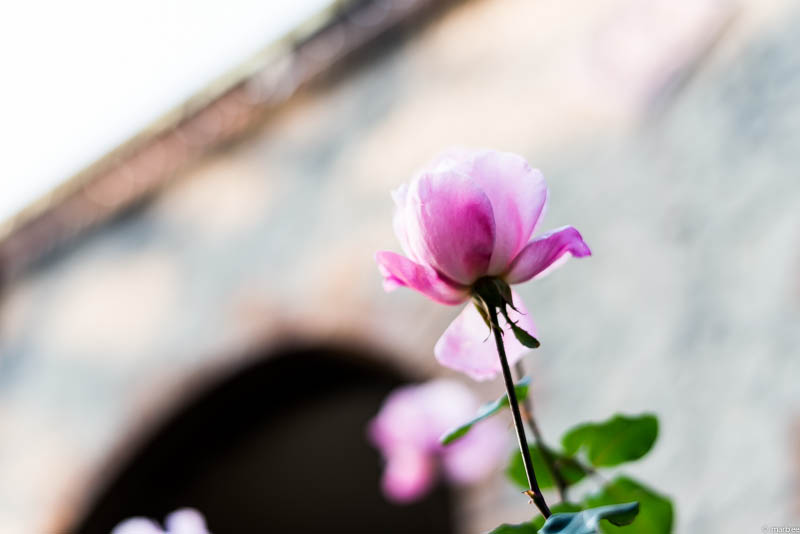 ベーリック・ホール 入り口