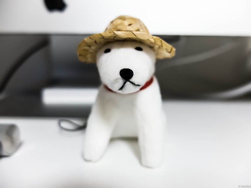お父さん犬