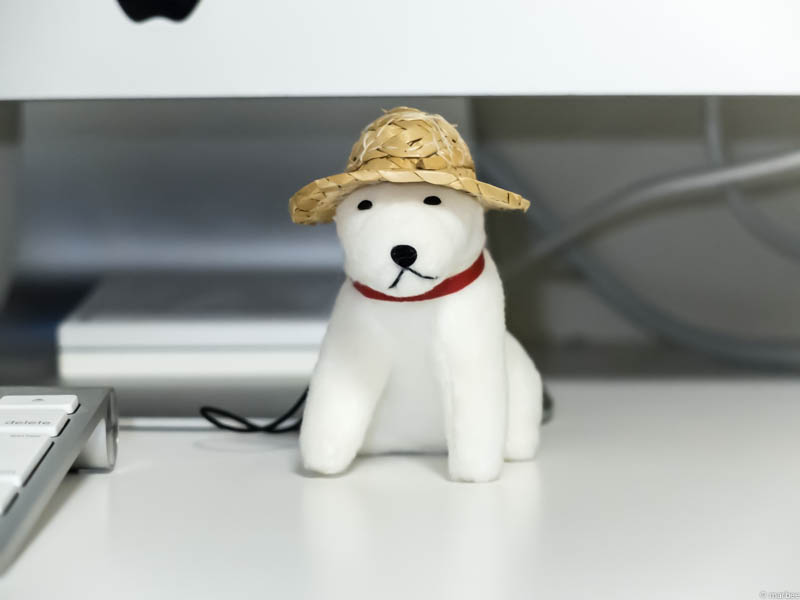 お父さん犬