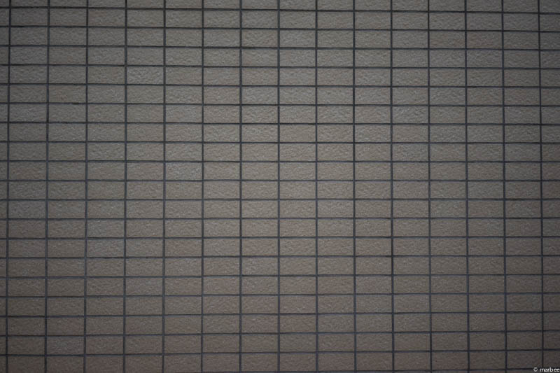 Sonnar T* FE 55mm F1.8 ZA 歪曲補正前