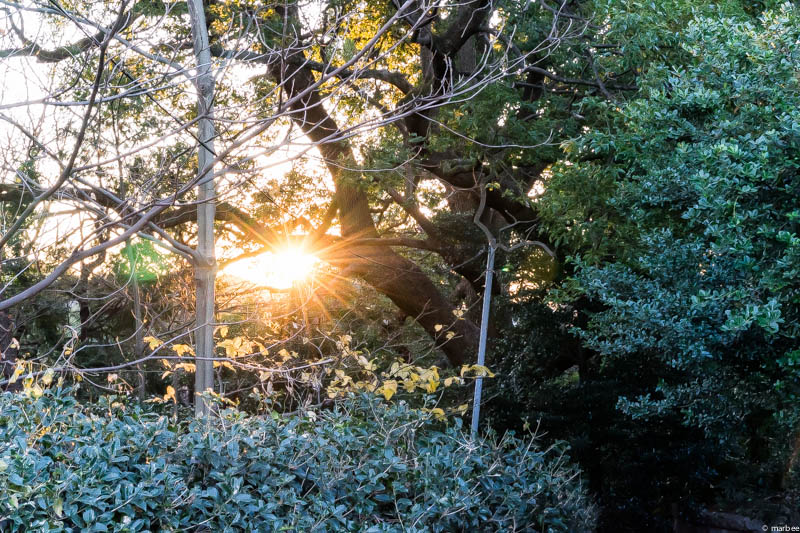 初日の出 2014