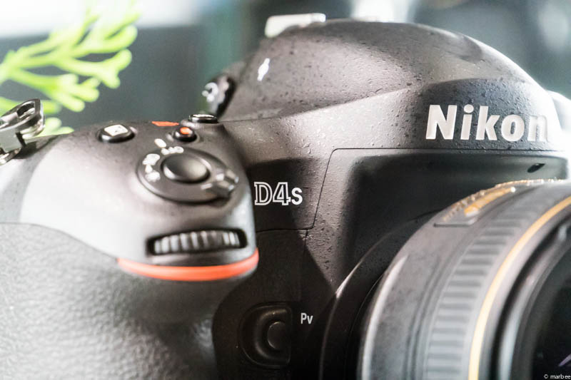 Nikon D4s ロゴUP