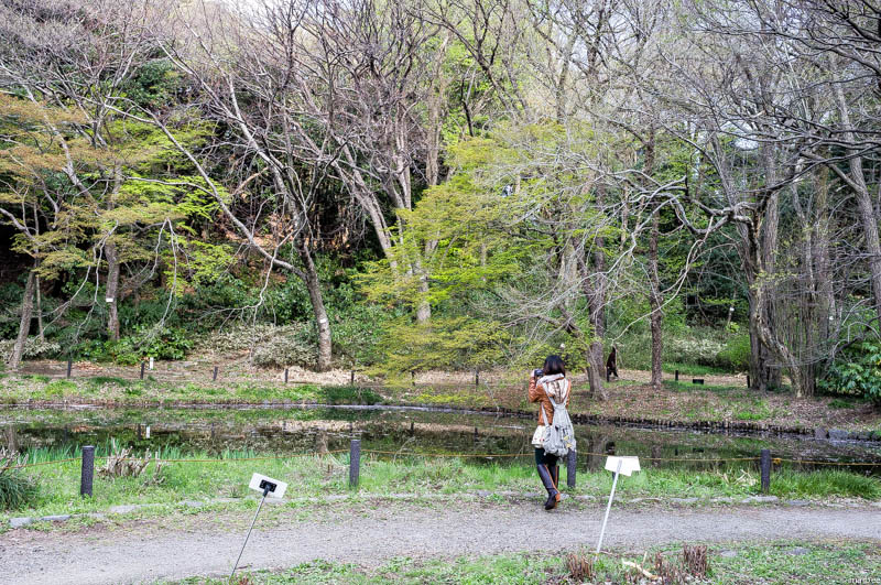 池とカメラ女子