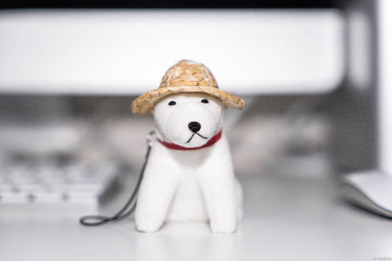 VarioTessar FE 24-70mm F4 お父さん犬を試写