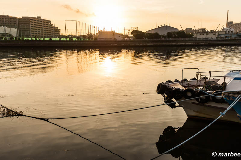 日の出 朝日が暖かく迎えてくれた