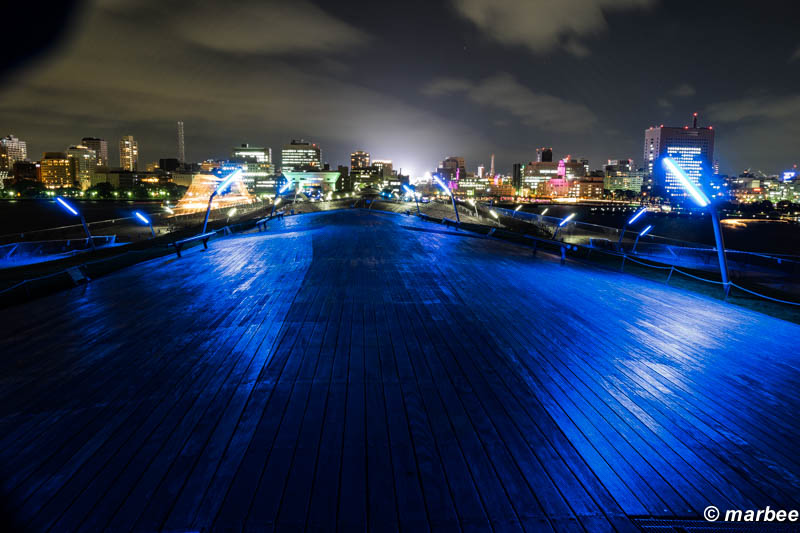 レンズフードがアリエナイ位置までめり込んだので左上がケラレている