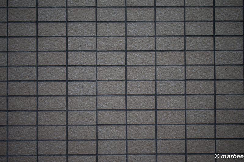 100mm F2.8 RAW撮って出し