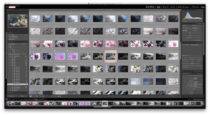 HDR合成されたRAW（DNG形式）ファイルが生成される