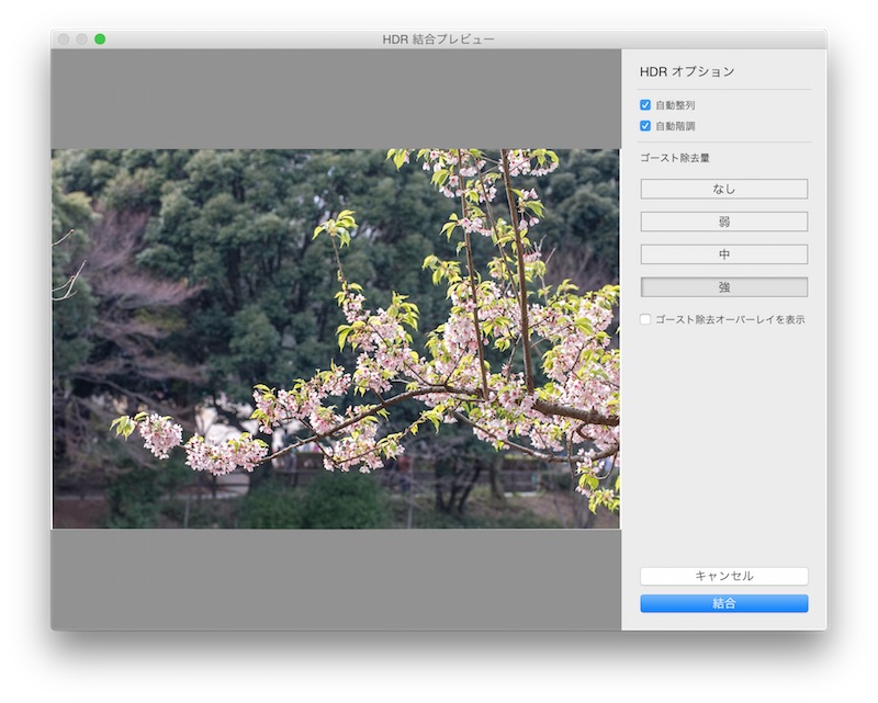 プレビューが表示されたら「ゴーストの除去量」を選択し「結合」をクリック