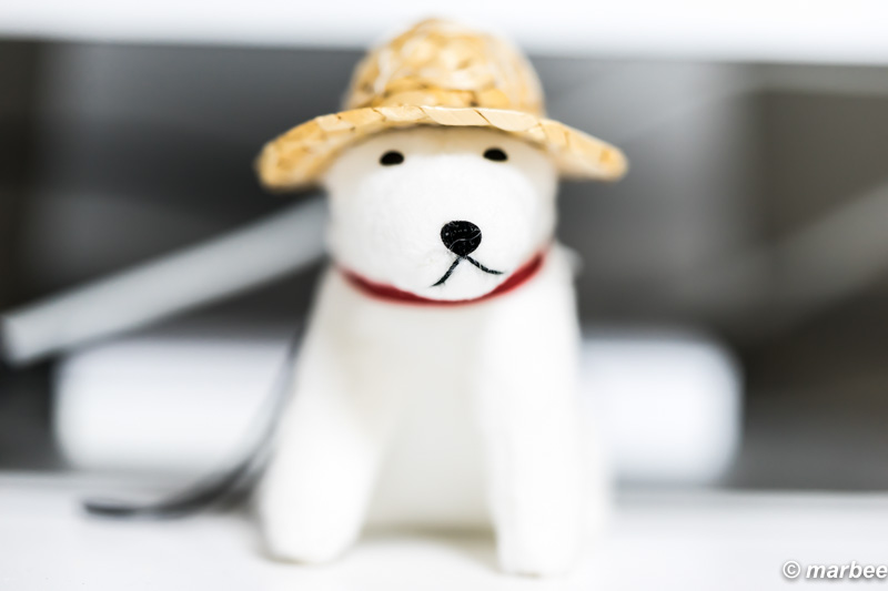 FE 90mm F2.8 Macro G OSS お父さん犬 試写 F2.8