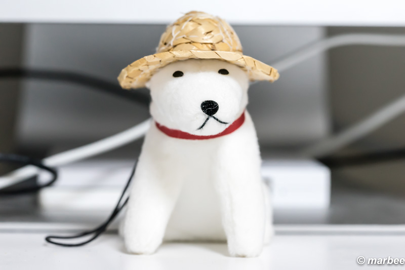 FE 90mm F2.8 Macro G OSS お父さん犬 試写 F8