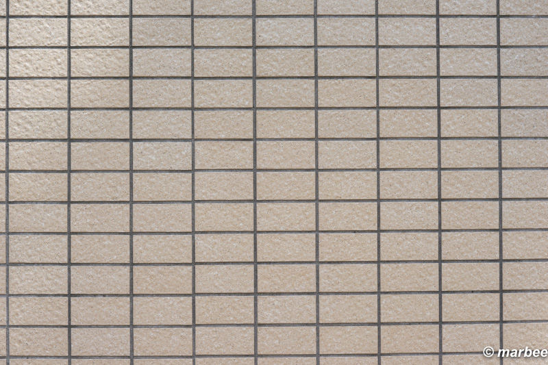 SONY FE 90mm F2.8 Macro G OSS RAW撮って出し