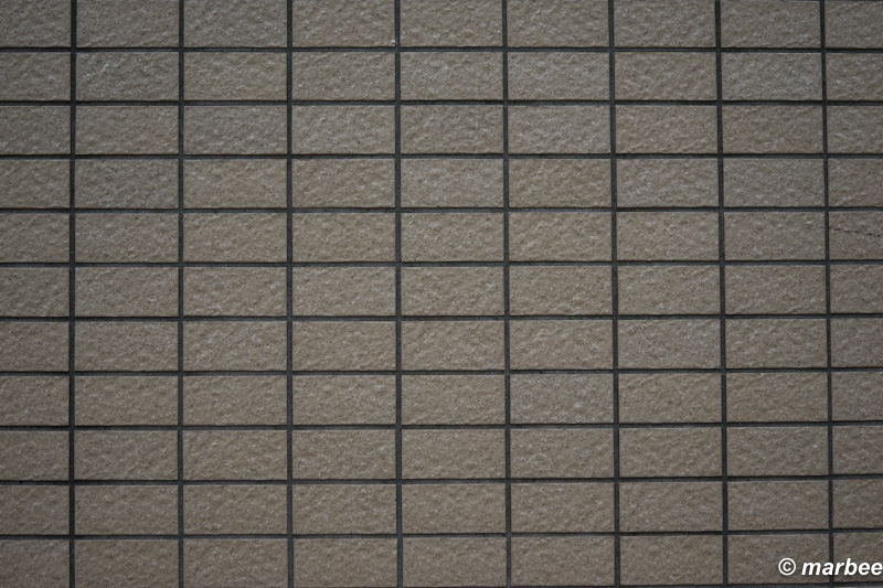 SONY FE 90mm F2.8 Macro G OSS RAW撮って出し F2.8