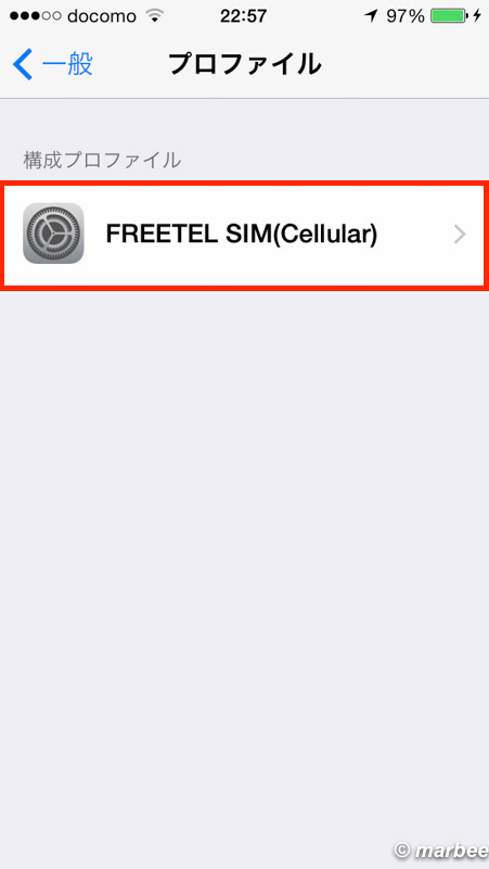削除したいAPN構成プロファイルをタップする