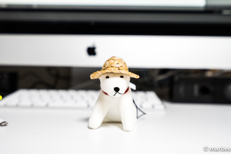 Vario-Tessar T* FE 16-35mm F4 ZA OSS お父さん犬 試写