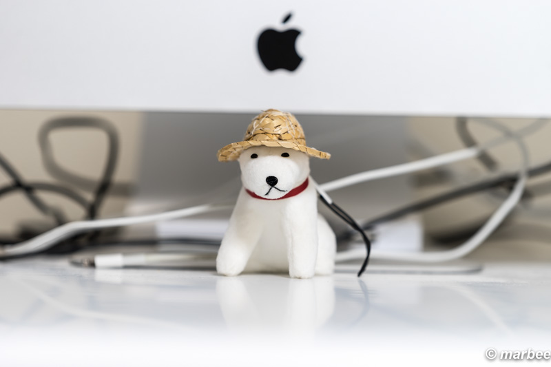 「SONY FE 70-200mm F4 G OSS」試し撮り