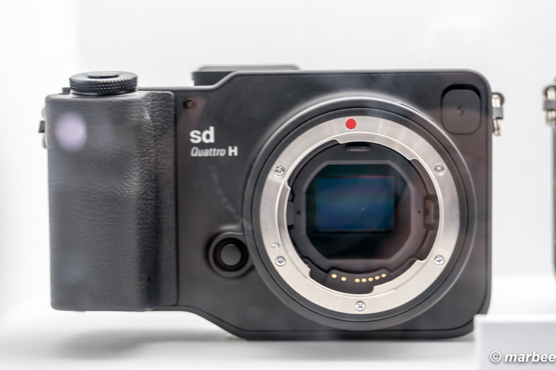 sd Quattro H 正面