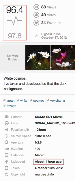 速攻でdislikeされた・・・