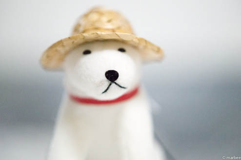 お父さん犬ISO6400