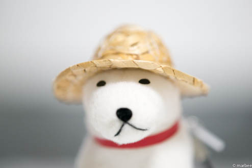 お父さん犬ISO400